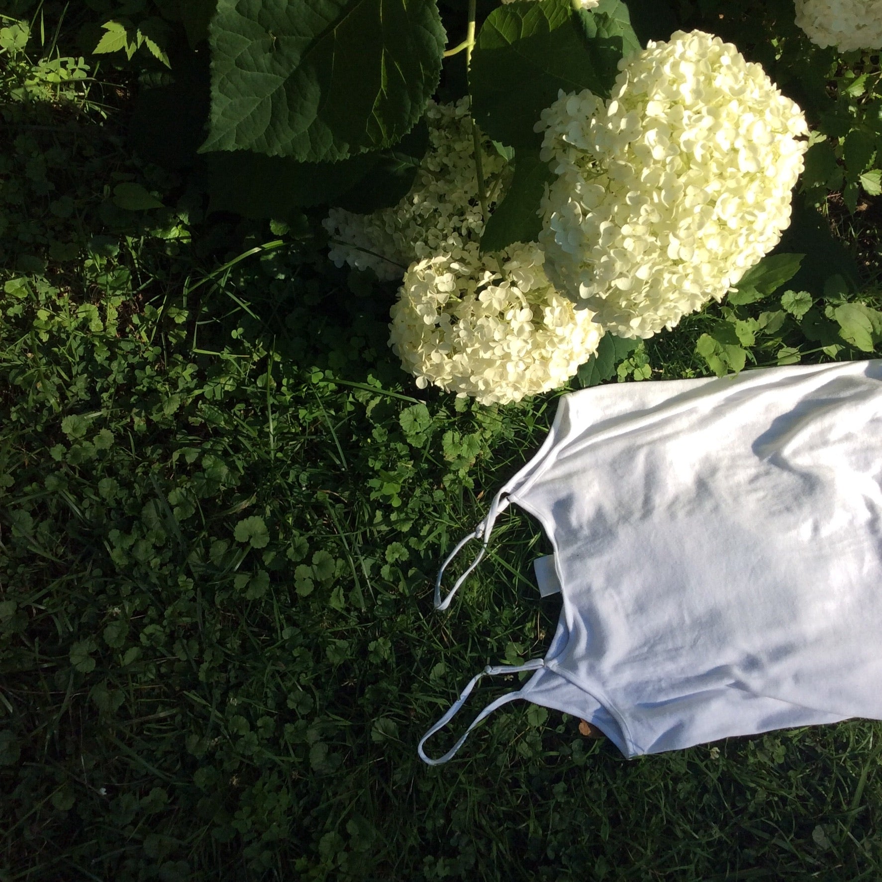 Project Object Vintage in Burlington, VT - photo 3